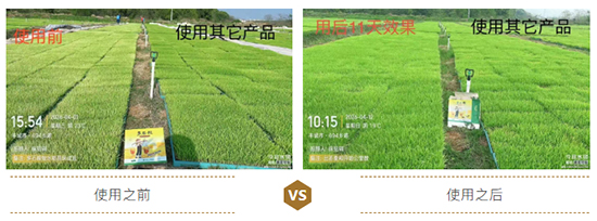 江西蓝道农业科技有限公司4.jpg