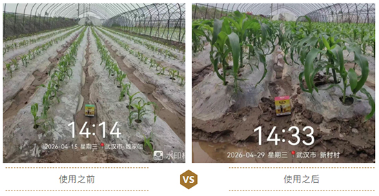 江西蓝道农业科技有限公司3.jpg