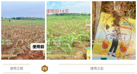 江西蓝道农业科技有限公司2.jpg