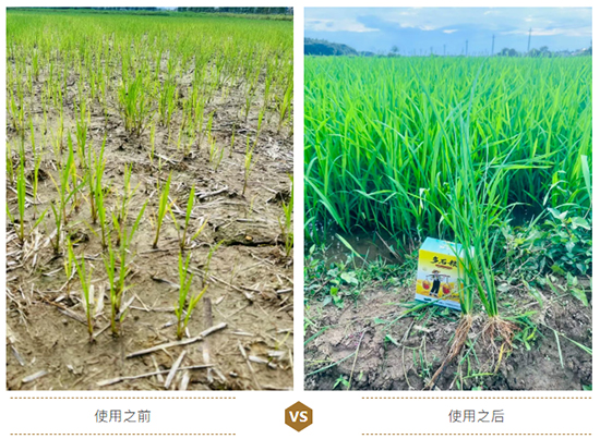 江西蓝道农业科技有限公司1.jpg