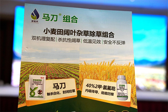 浙江新银邦生物科技有限公司8.jpg