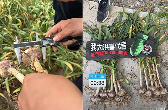 娌冲崡鑹惧埄鍐滃啘涓氱鎶�鏈夐檺鍏徃3.jpg 娌冲崡鑹惧埄鍐滃啘涓氱鎶�鏈夐檺鍏徃3.jpg
