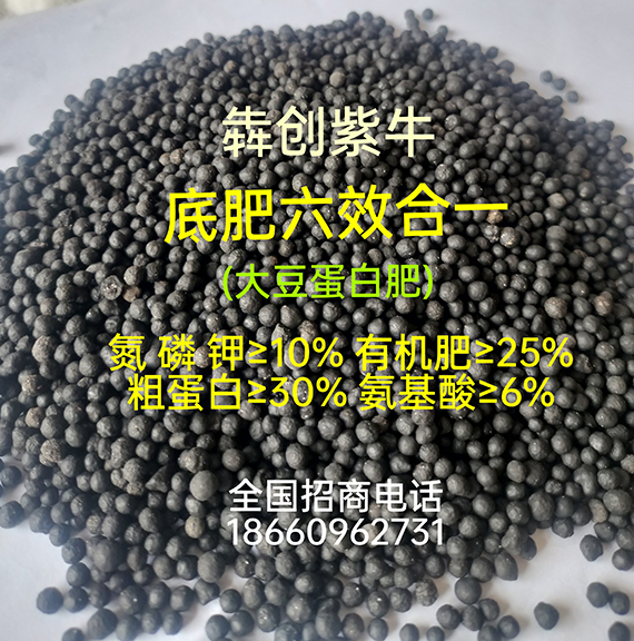 微信图片_20260728094530_265_496.jpg