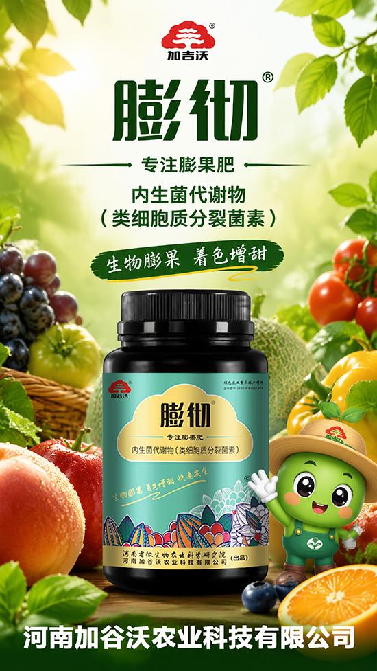 娌冲崡鍔犺胺娌冨啘涓氱鎶�鏈夐檺鍏徃2.png 娌冲崡鍔犺胺娌冨啘涓氱鎶�鏈夐檺鍏徃2.png