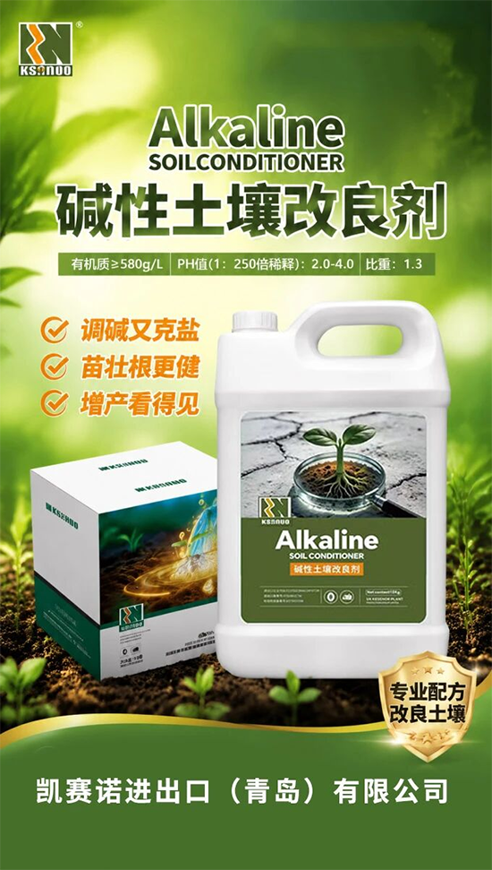 凯赛诺进出口（青岛）有限公司2.png