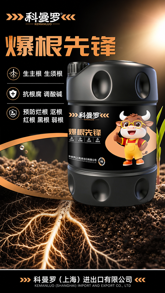 科曼�?.png