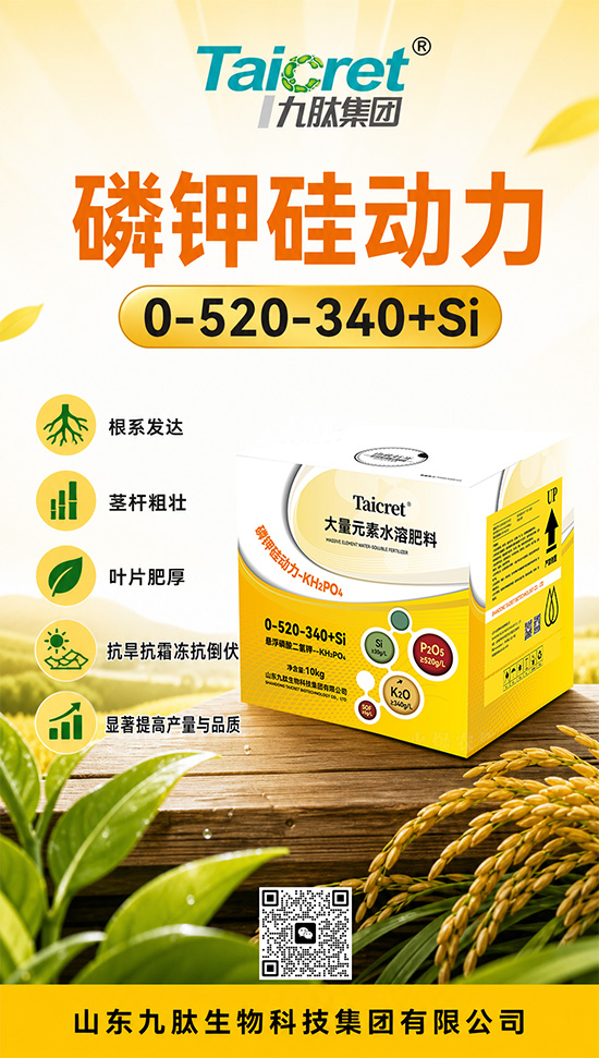 灞变笢涔濊偨鐢熺墿绉戞妧闆嗗洟鏈夐檺鍏徃2.jpg 灞变笢涔濊偨鐢熺墿绉戞妧闆嗗洟鏈夐檺鍏徃2.jpg