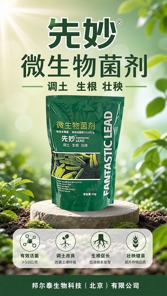 邦尔�?50.jpg