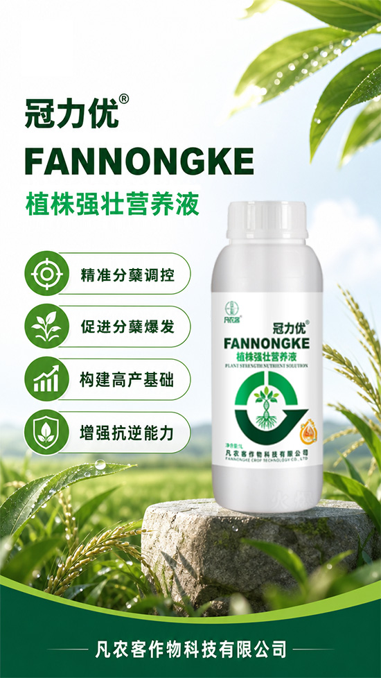 鍑″啘瀹?50.jpg 鍑″啘瀹?50.jpg