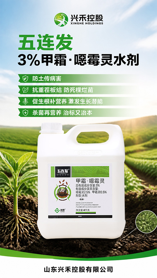 山东兴禾控股有限公司550.jpg