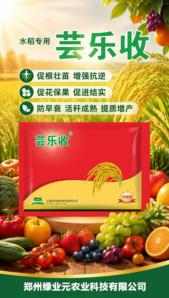 郑州绿业元农业科技有限公司2.jpg
