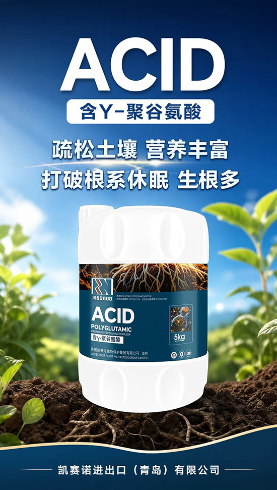 鍑禌璇鸿繘鍑哄彛锛堥潚宀涳級鏈夐檺鍏徃2.jpg 鍑禌璇鸿繘鍑哄彛锛堥潚宀涳級鏈夐檺鍏徃2.jpg
