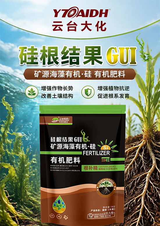 焦作市云台大化生物科技有限公司2.jpg