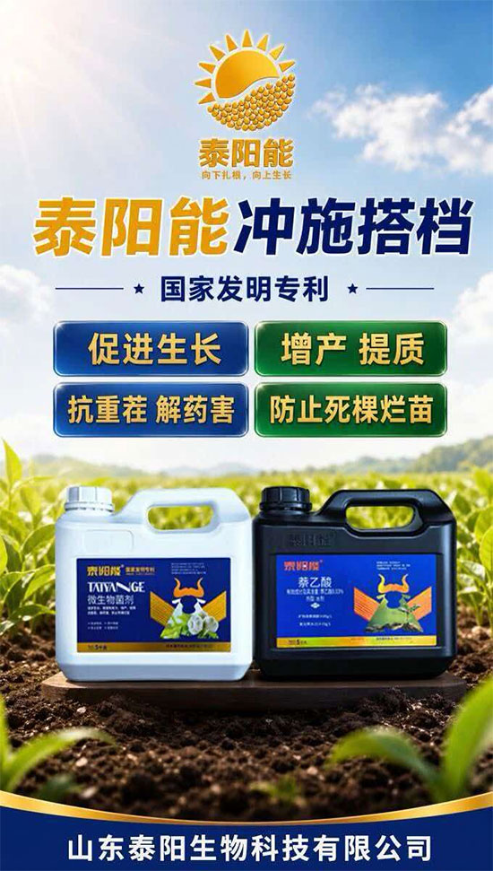 灞变笢娉伴槼鐢熺墿绉戞妧鏈夐檺鍏徃2.jpg 灞变笢娉伴槼鐢熺墿绉戞妧鏈夐檺鍏徃2.jpg