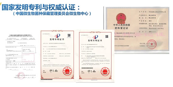 宝丰万隆肥业有限公司4.jpg