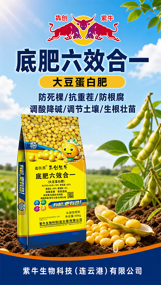 鏈爣棰?1.jpg 鏈爣棰?1.jpg