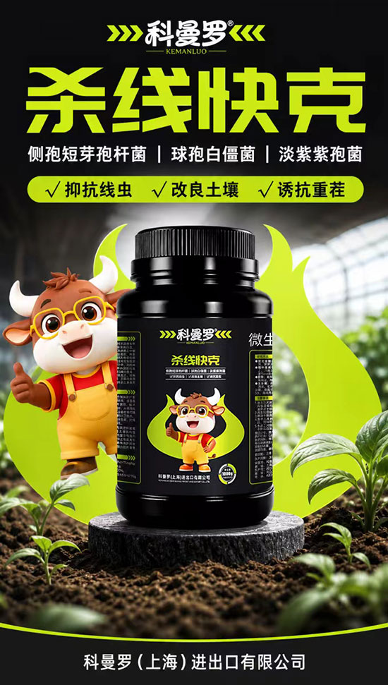 科曼罗（上海）进出口有限公司2.jpg