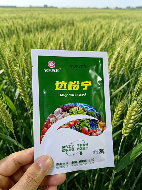 达粉�?农夫稼园4.jpg