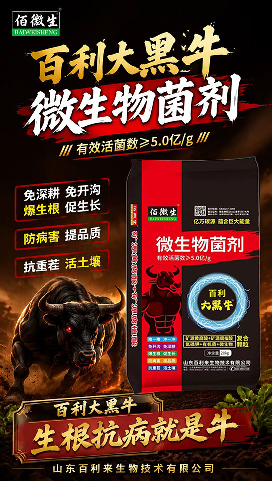 山东百利来生物技术有限公�?.jpg