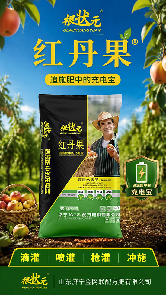 山东济宁金网联配方肥有限公司2.jpg