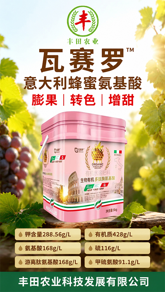 鏈爣棰?1.jpg 鏈爣棰?1.jpg