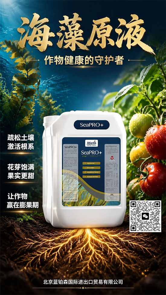 北京蓝铂森国际进出口贸易有限公司6.jpg