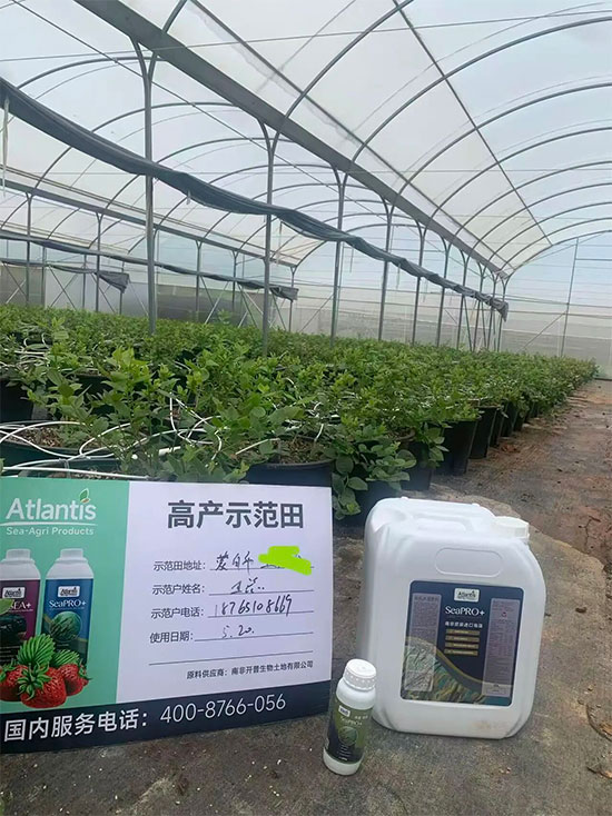 北京蓝铂森国际进出口贸易有限公司5.jpg