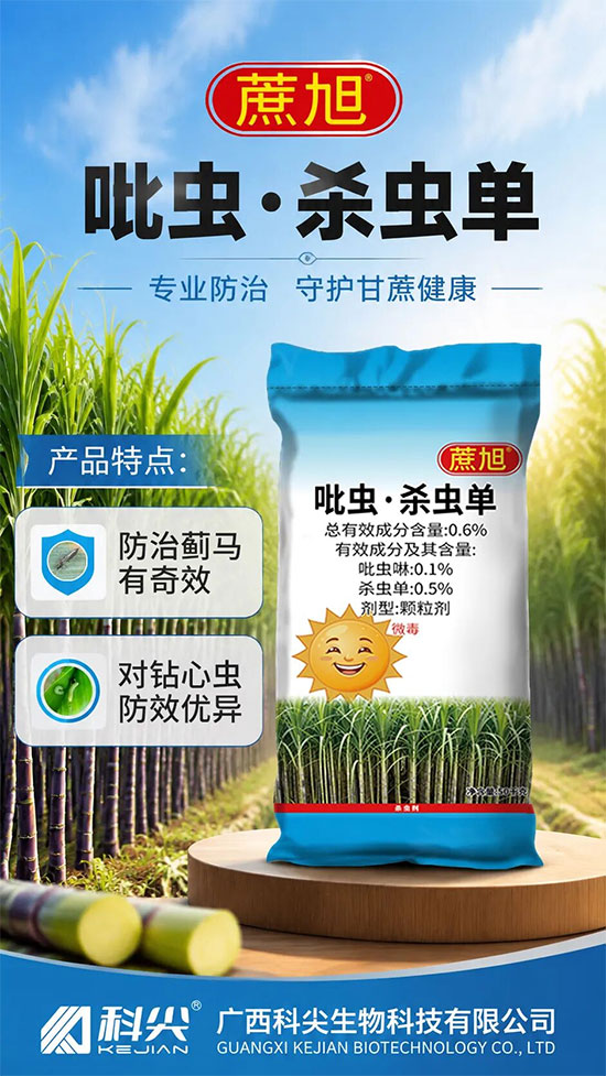 绉戝皷1.jpg 绉戝皷1.jpg