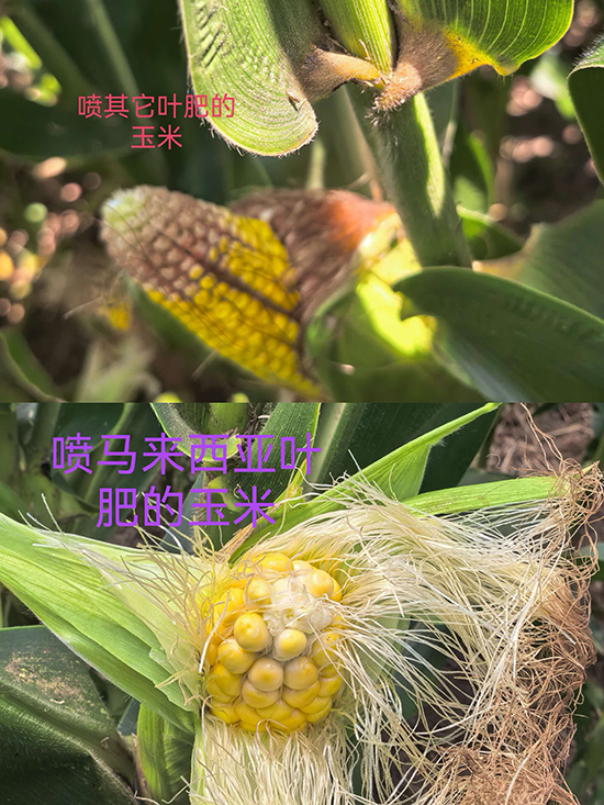 寰俊鍥剧墖_20260908092855_242_467.jpg 寰俊鍥剧墖_20260908092855_242_467.jpg