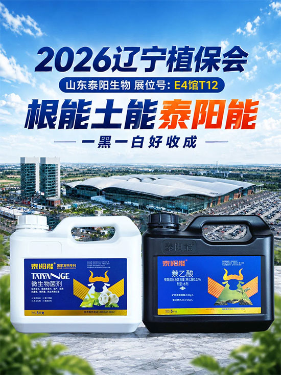 山东泰阳生物科技有限公司2.jpg
