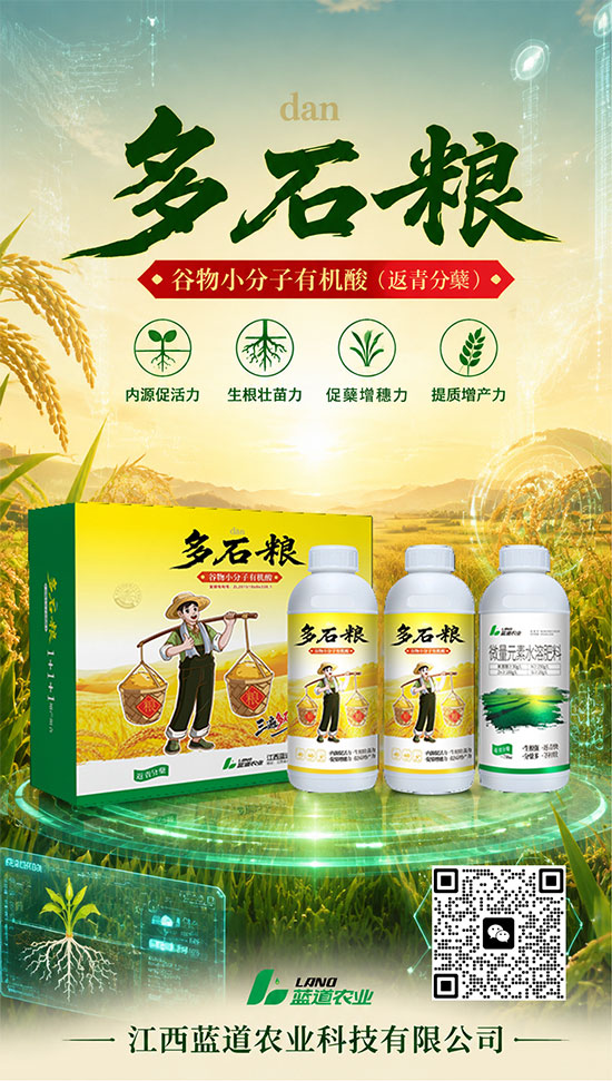 江西蓝道农业科技有限公司3.jpg