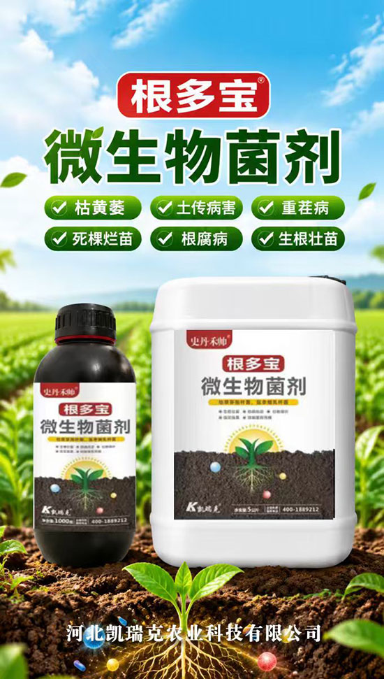河北凯瑞克农业科技有限公司2.jpg