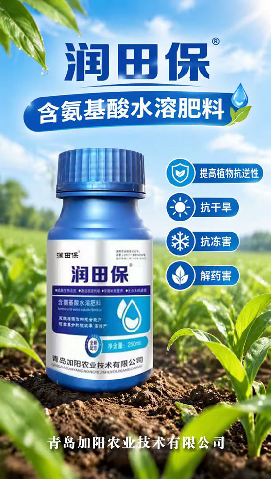 青岛加阳农业技术有限公�?.jpg