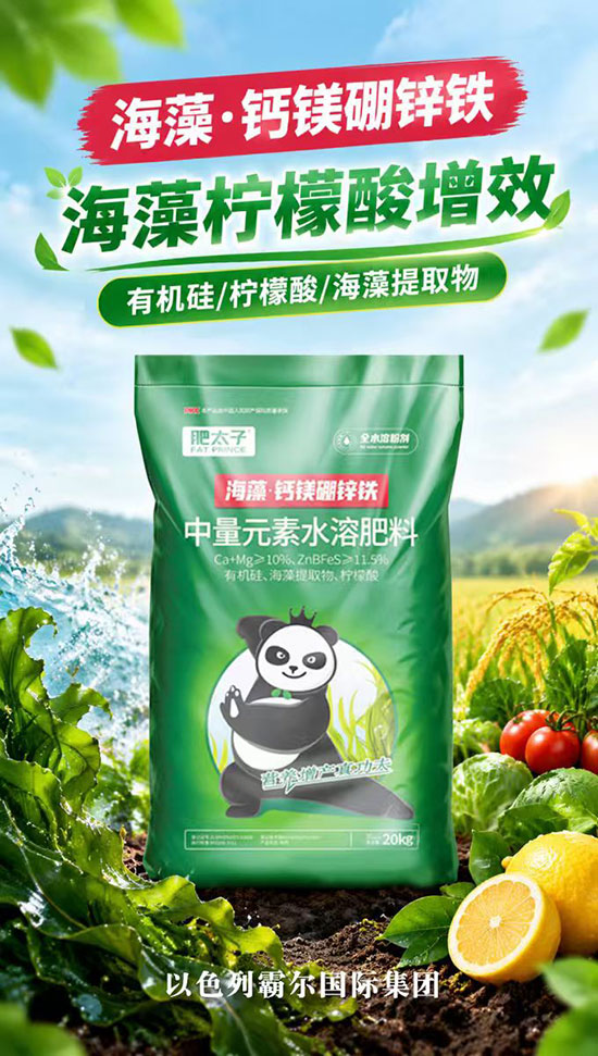 以色列霸尔国际集�?.jpg