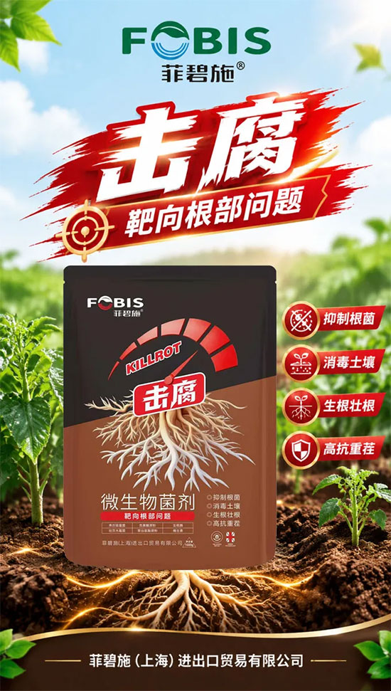 菲碧施（上海）进出口贸易有限公司2.jpg