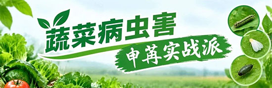山东申苒化学科技有限公司7.jpg