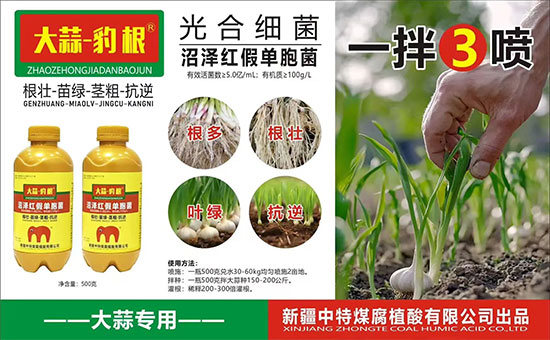 新疆中特煤腐植酸有限公司3.jpg