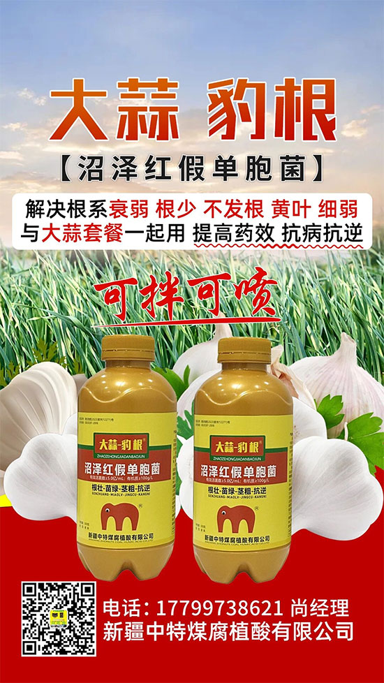 新疆中特煤腐植酸有限公司2.jpg