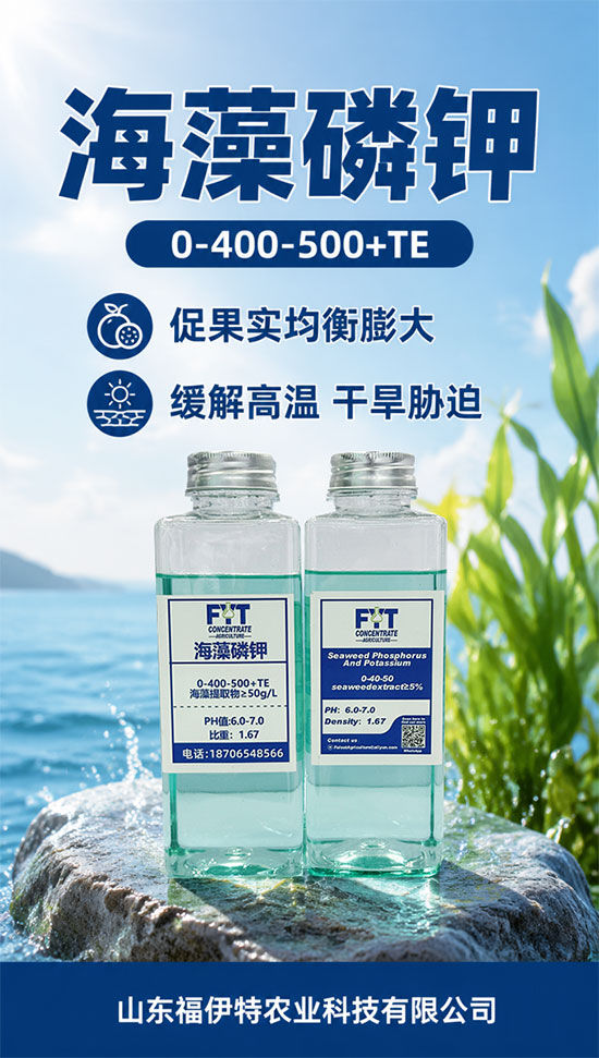 山东福伊特农业科技有限公司6.jpg
