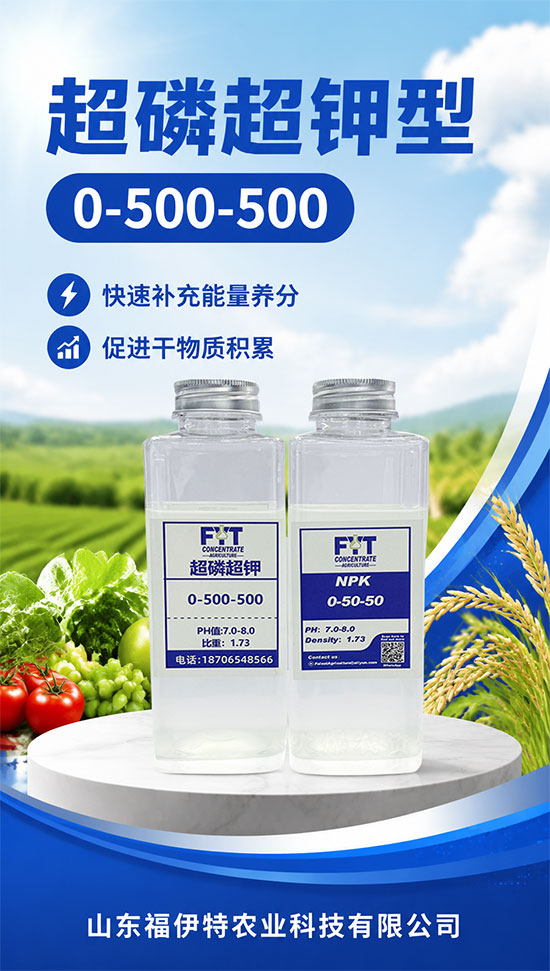 山东福伊特农业科技有限公司4.jpg