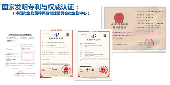 宝丰万隆肥业有限公司3.jpg