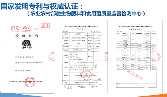 宝丰万隆肥业有限公司2.jpg