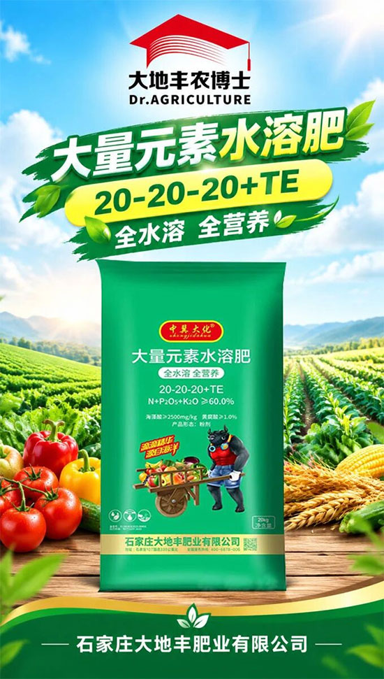 石家庄大地丰肥业有限公司4.jpg