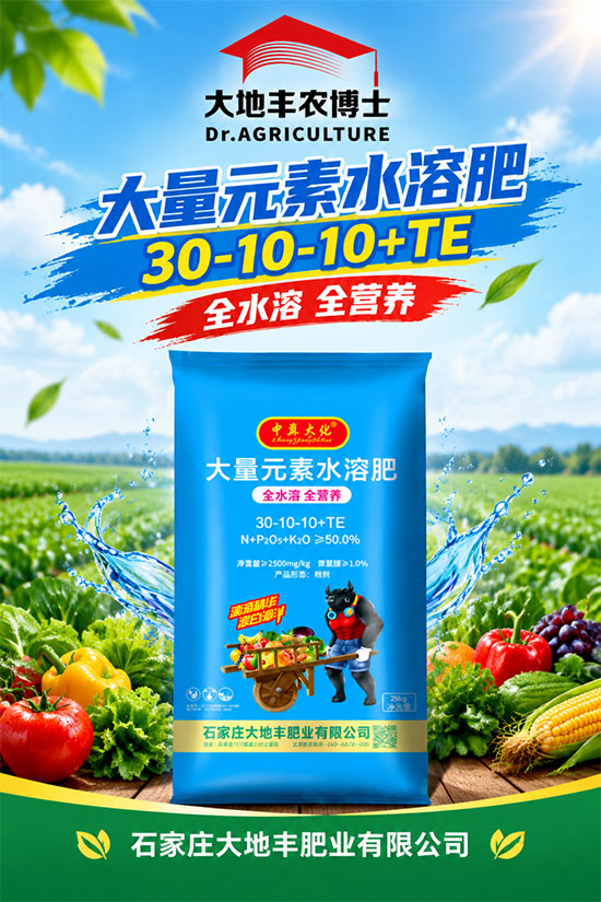 石家庄大地丰肥业有限公司3.jpg
