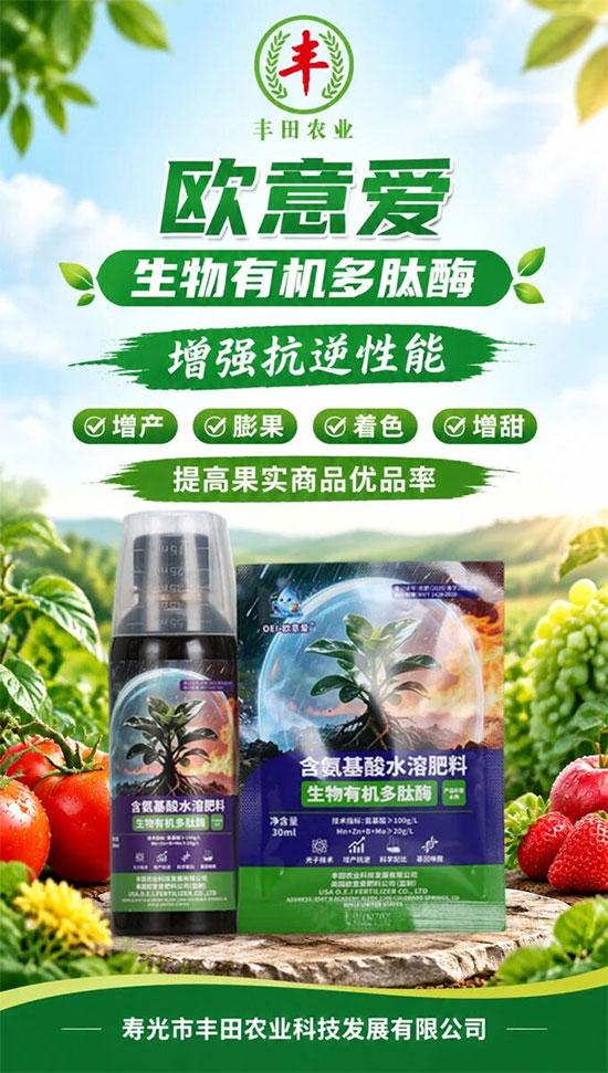 寿光市丰田农业科技发展有限公司3.jpg