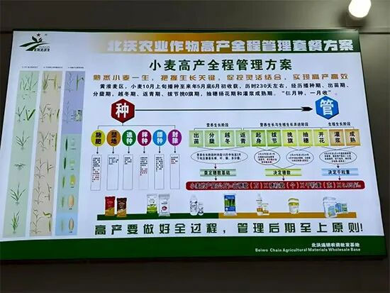 黑龙江省北沃农业科技有限公司3.jpg