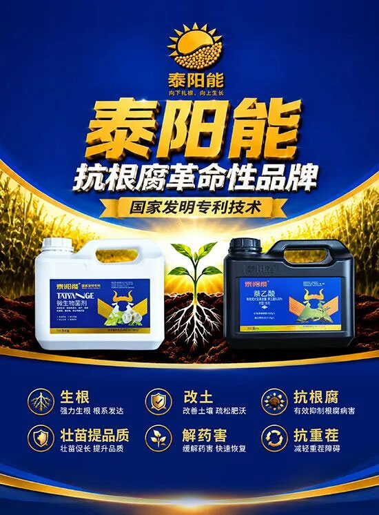 山东泰阳生物科技有限公司3.jpg