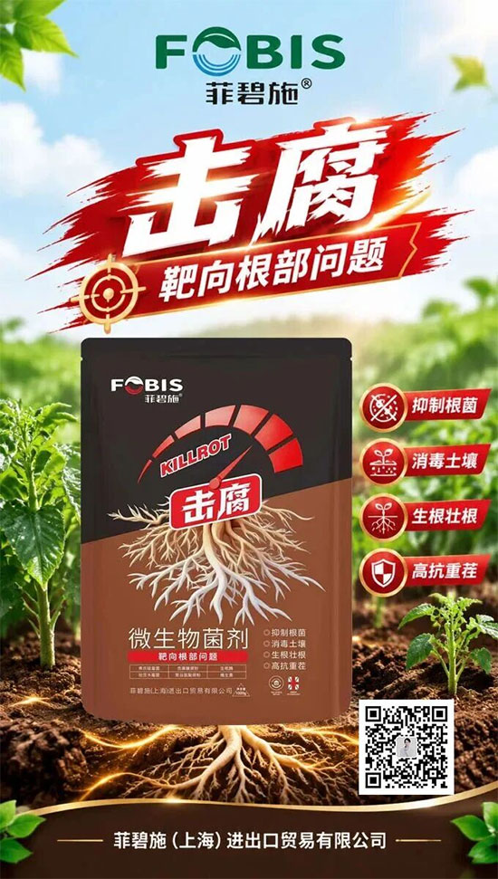 菲碧施（上海）进出口贸易有限公司3.jpg