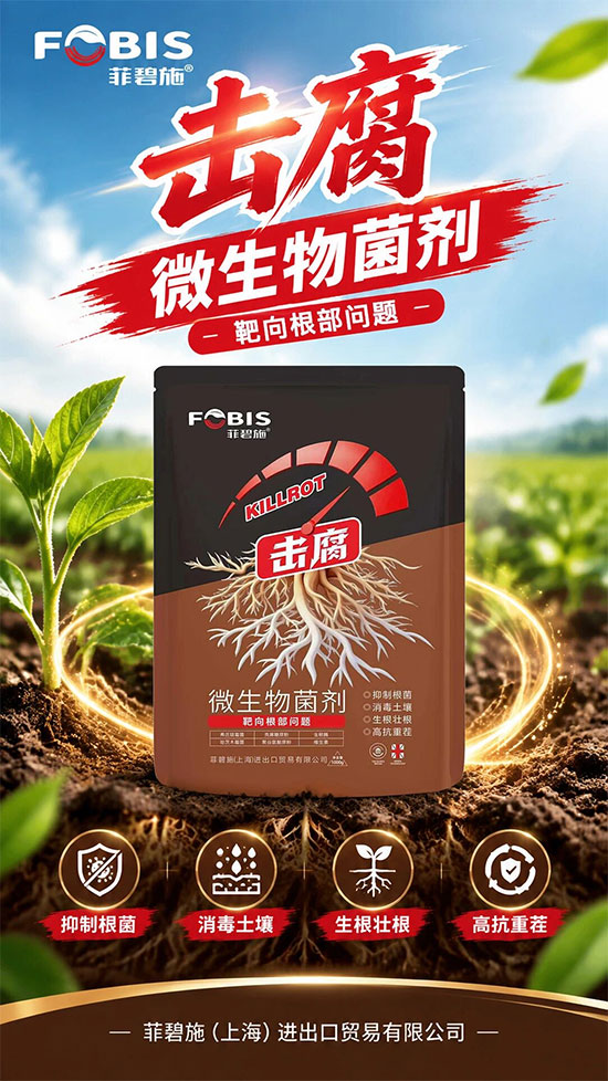 菲碧施（上海）进出口贸易有限公司2.jpg