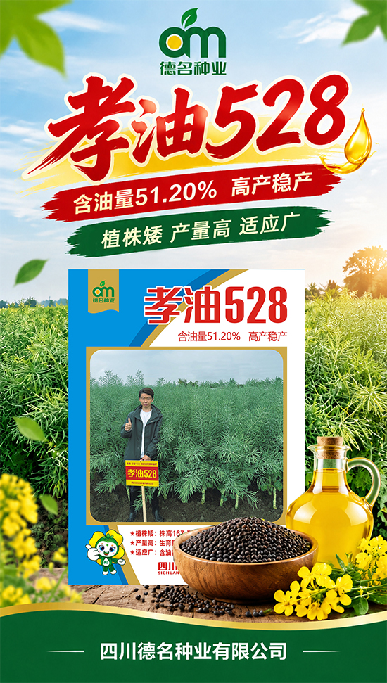 鏈爣棰?1.jpg 鏈爣棰?1.jpg